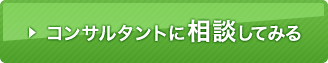 コンサルタントに相談してみる